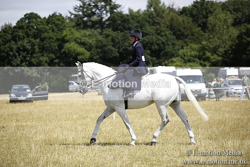 _C7A0237 - Side Saddle Classes BVRC Show 2018