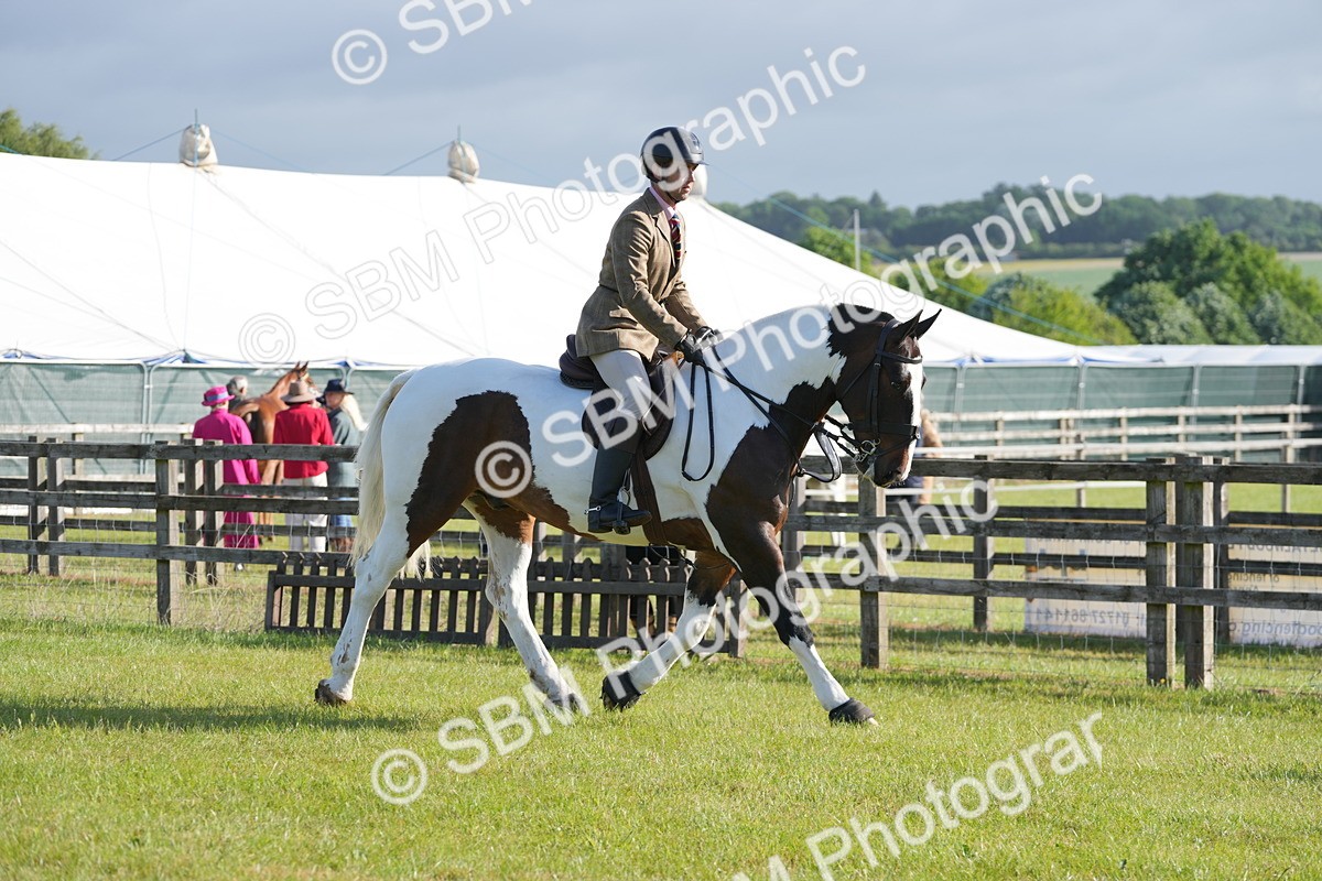 SBM_10521 - Class 97-98 - LIHS BSHA Rising Star Working Show Horse Hunter