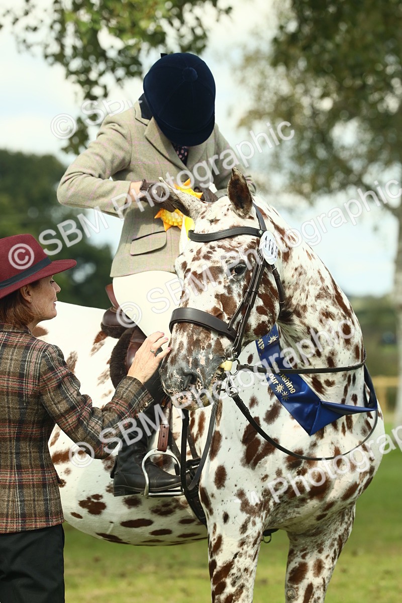 SBM_62526 - S62 - Foreign Breeds Ridden