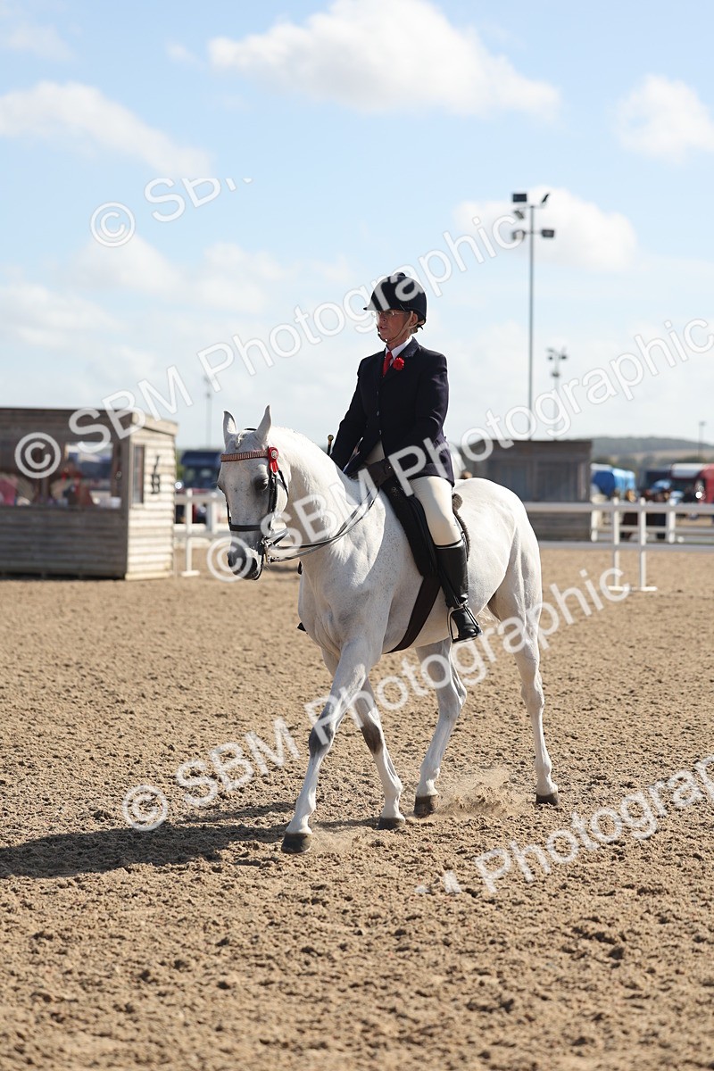 SBM_22668 - Class 805 - Ridden Veteran Horse
