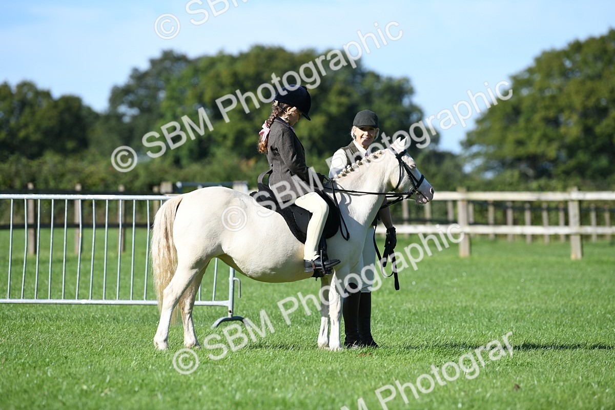 SBM_36786 - S18 - Novice & Newcomers Lead Rein Pony
