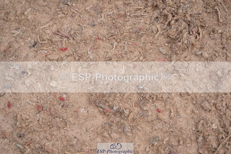 240713A-120136-00617 - Cls 10 Pony 1.15m