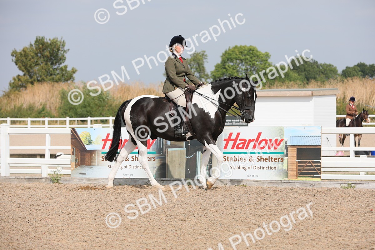 SBM_13321 - Class 308 Ridden Coloured Horse