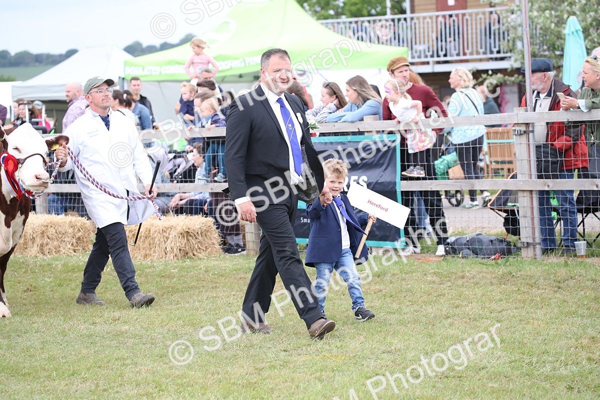 SBM_07833 - Grand Parade