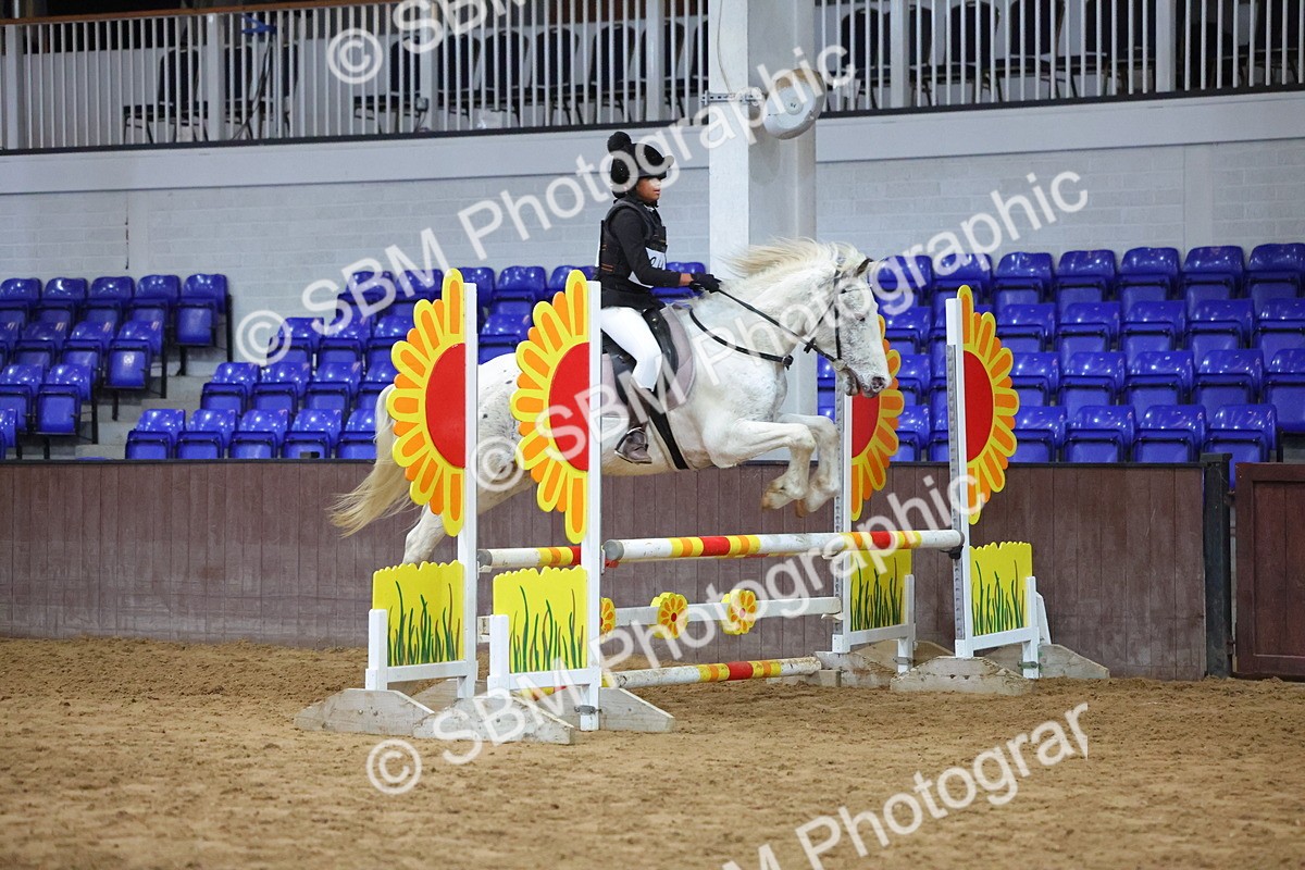 SBM_002113 - Class 5 - Show Jumping 80cm