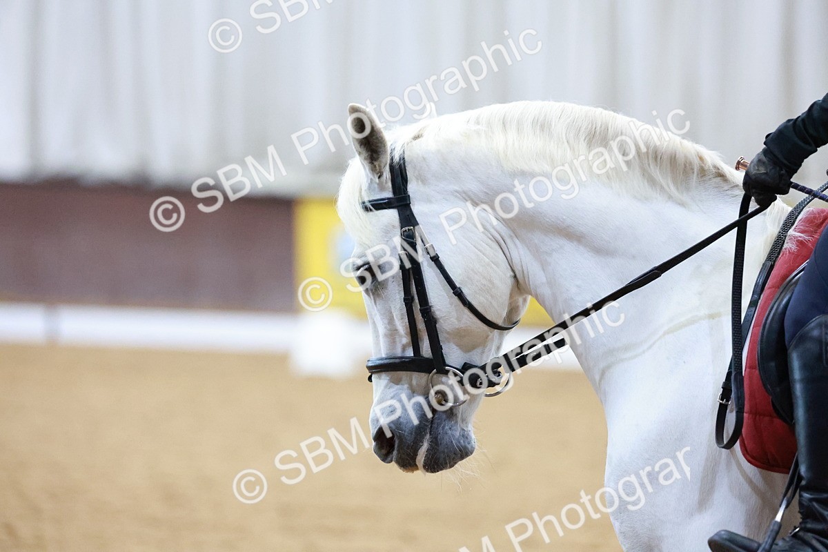 1I0A0569 - Class 3-6 - Prelim 1-Novice 2