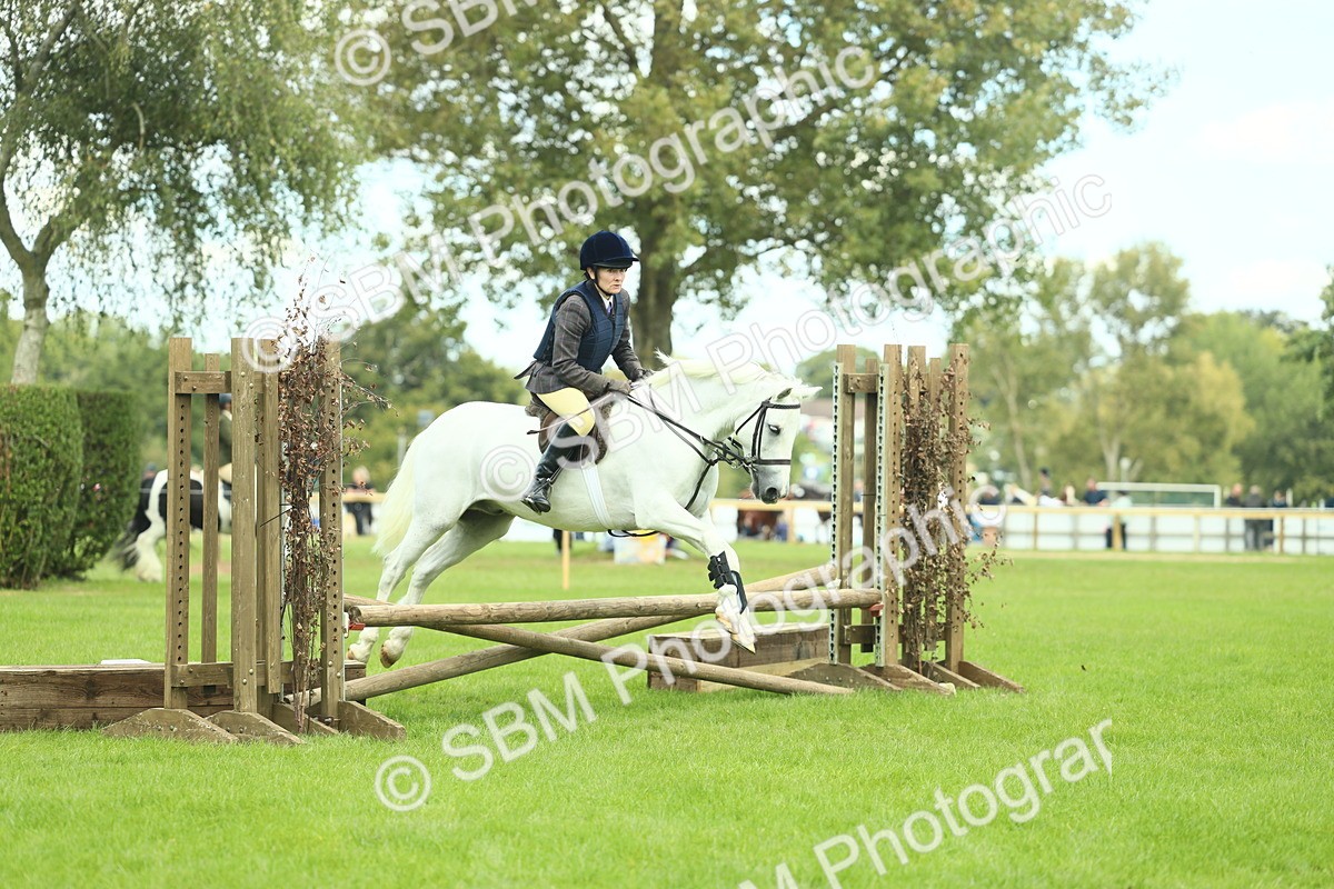 SBM_42790 - S30 - M&M Working hunter Pony