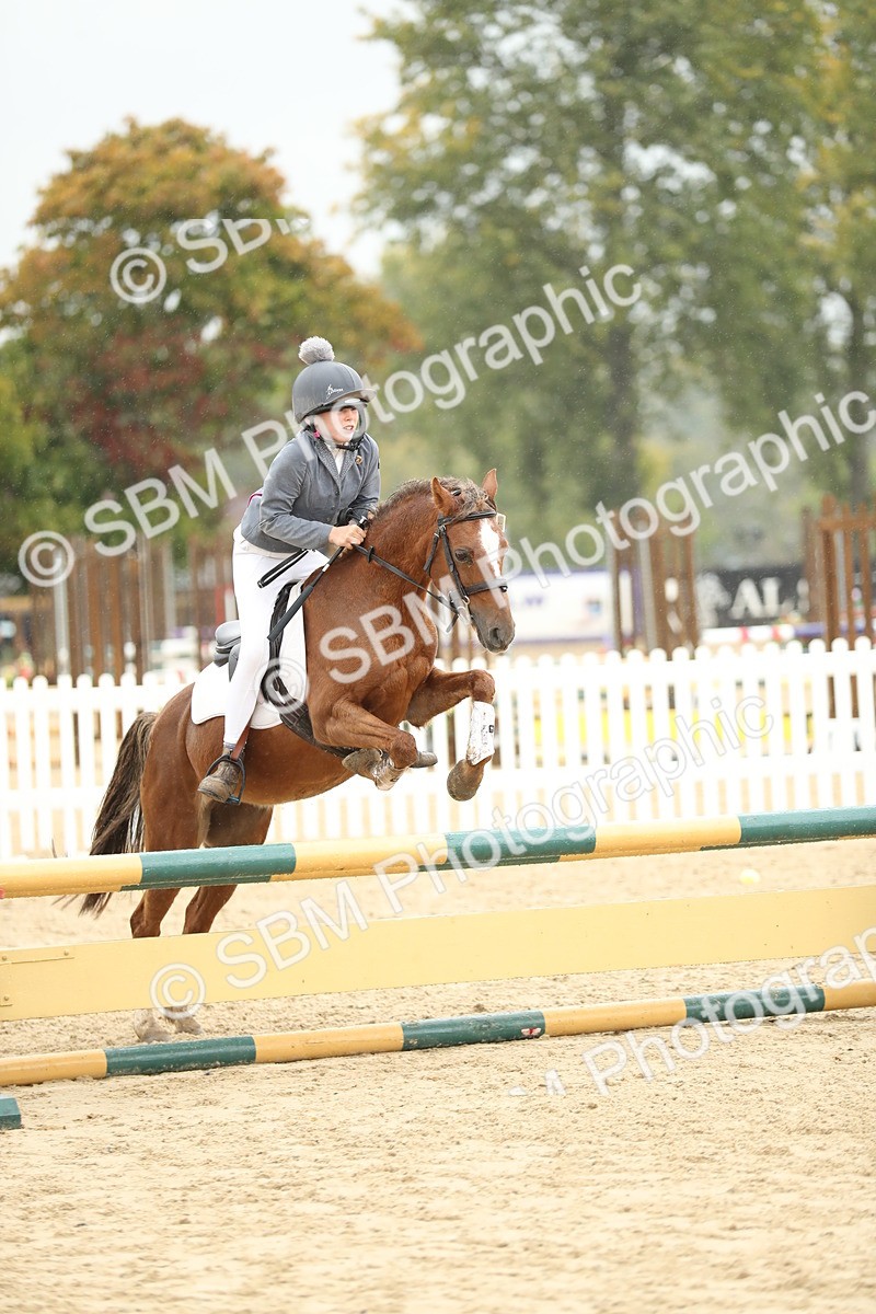 SBM_70442 - J15 - Junior Pony 70cm Championship