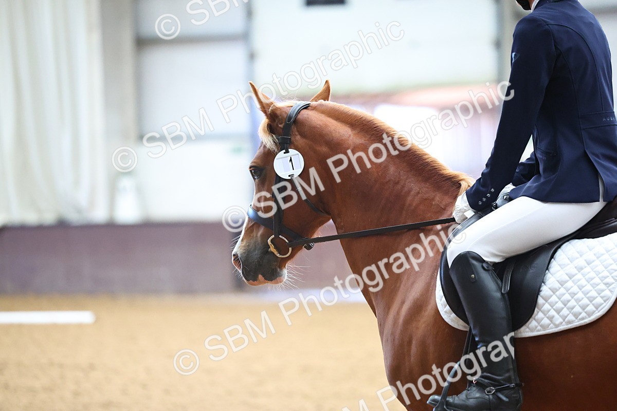 SBM_004046 - Class 1 - Intro 2-3