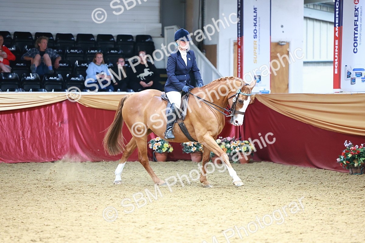 SBM_23828 - Class 905 - Supreme Final - Ridden Veteran