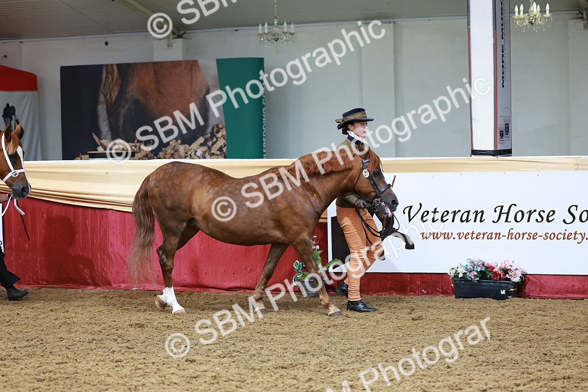 SBM_17309 - Class 951 - M&M IH Supreme Final