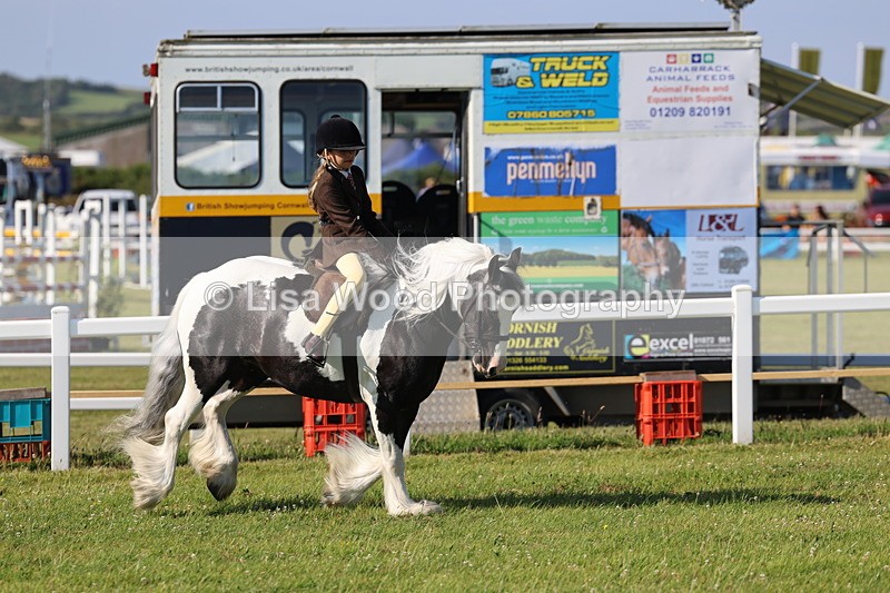IMG_1501 - Class 30: Ridden Native/Trad Coloured Pony