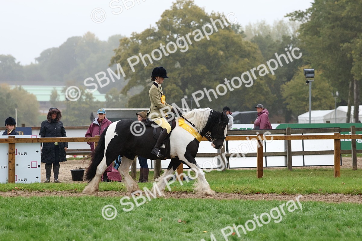 SBM_73119 - Ridden Pony Supreme Championship
