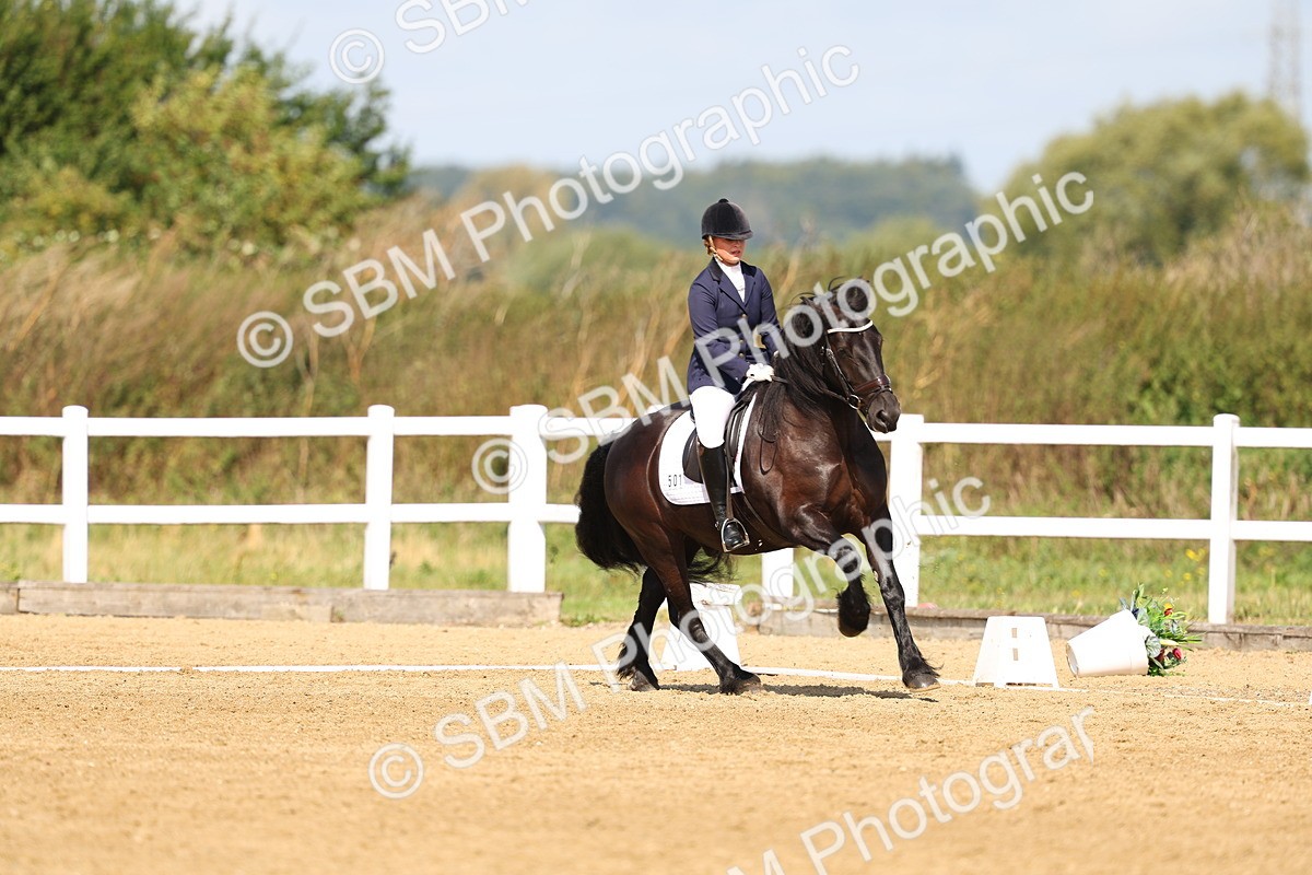 SBM_011619 - Class 1 - Prelim 19 - 10.50-11.46