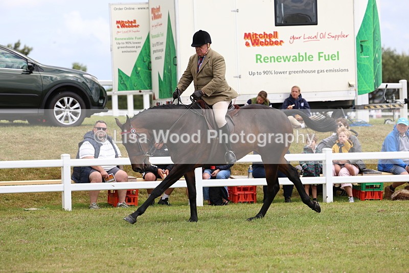 3E7A0981 - Class 8: Open Riding Horse/Hack