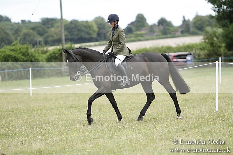 BVR160717-2224 - Ring 3 BVRC Show 16/07/17