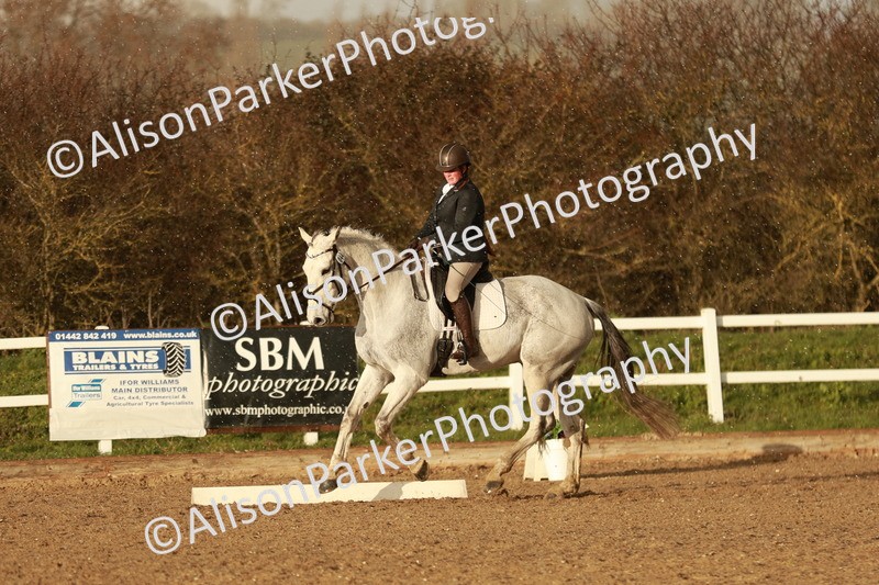 20260314-6425 - CT7 - Elementary 2