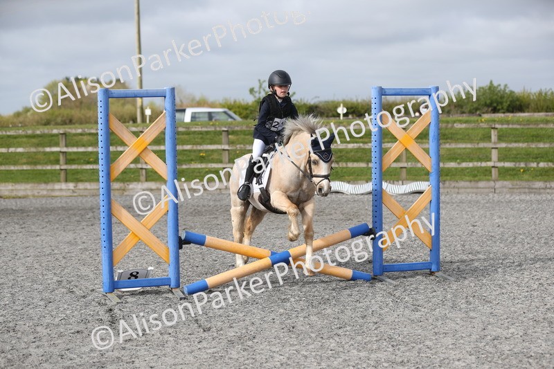 20260412-0105 - Show Jumping