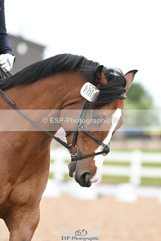 250620-111142-02786 - BD Cls 4 - Novice 5, Start to 11.30am