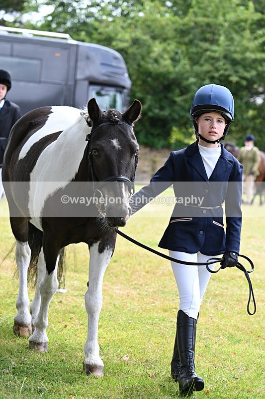 WJ7_6485 - Class 5 Handsome Gelding in hand