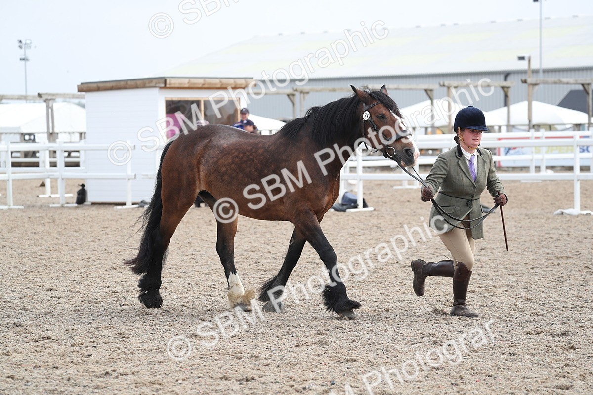 SBM_22555 - Class 604 - 2025 Area - IH Diamond