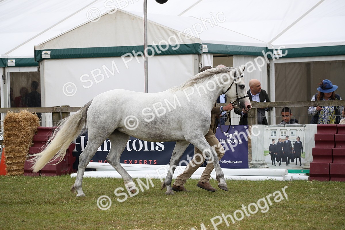 SBM_09787 - Ch 50 - Price Family Supreme In Hand