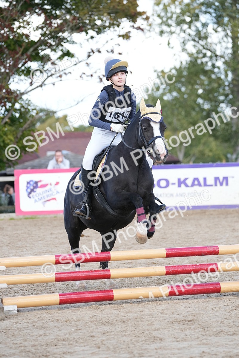 SBM_17738 - J58 - Clear Round 50cm