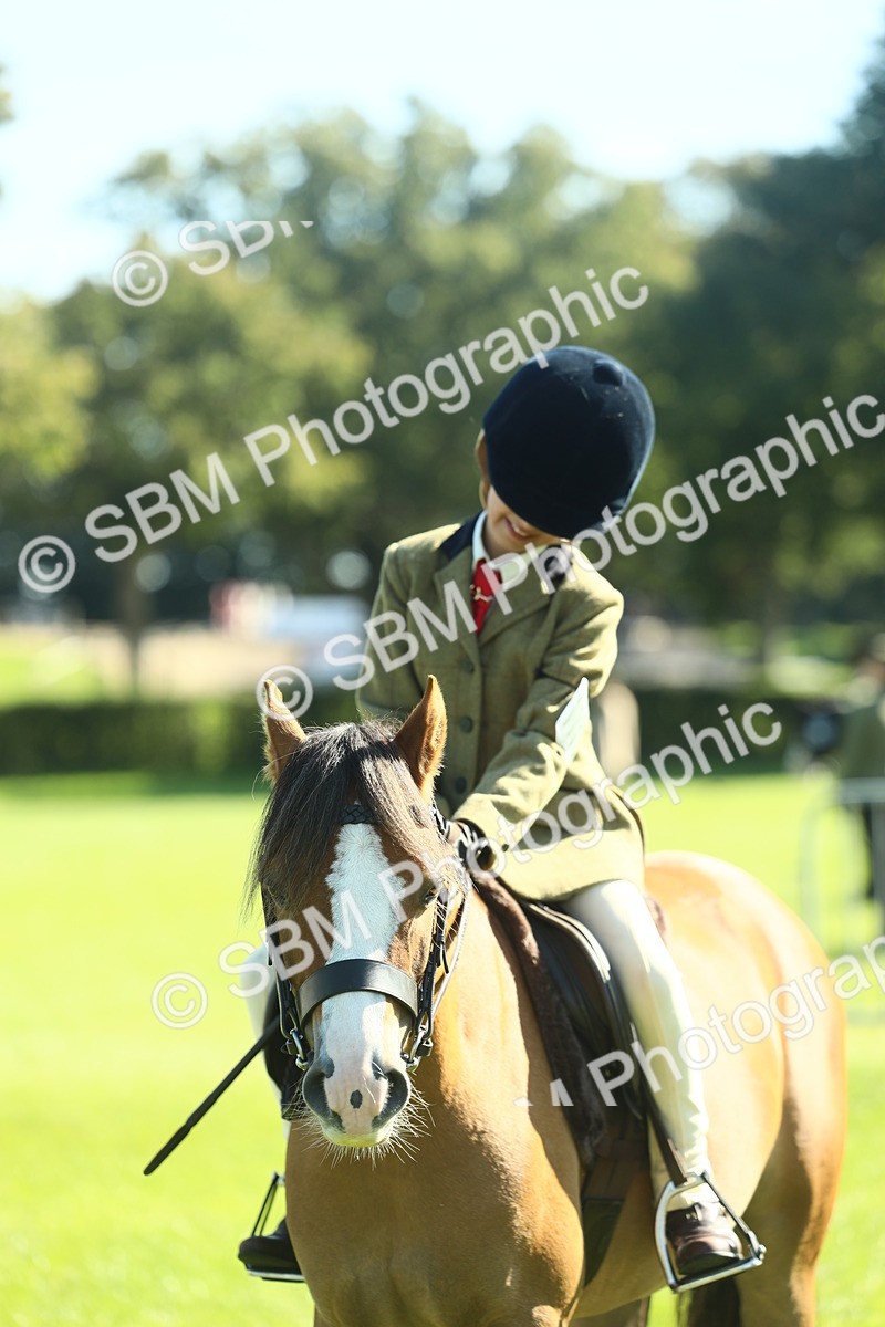 SBM_39060 - S29 - Novice & Newcomers Working Hunter Pony