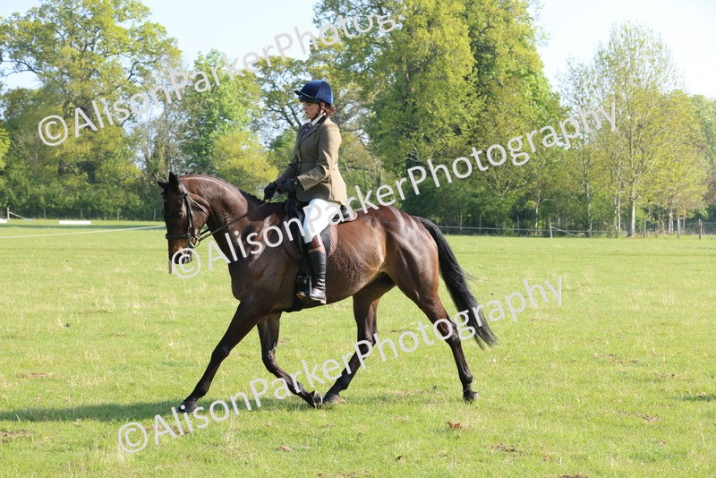 20250427-0523 - Class 17 - Novice Showing