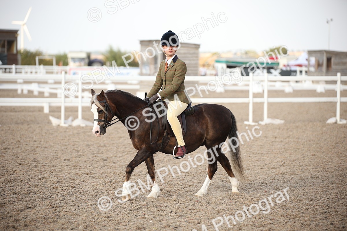 SBM_09200 - Regional Ridden Champ