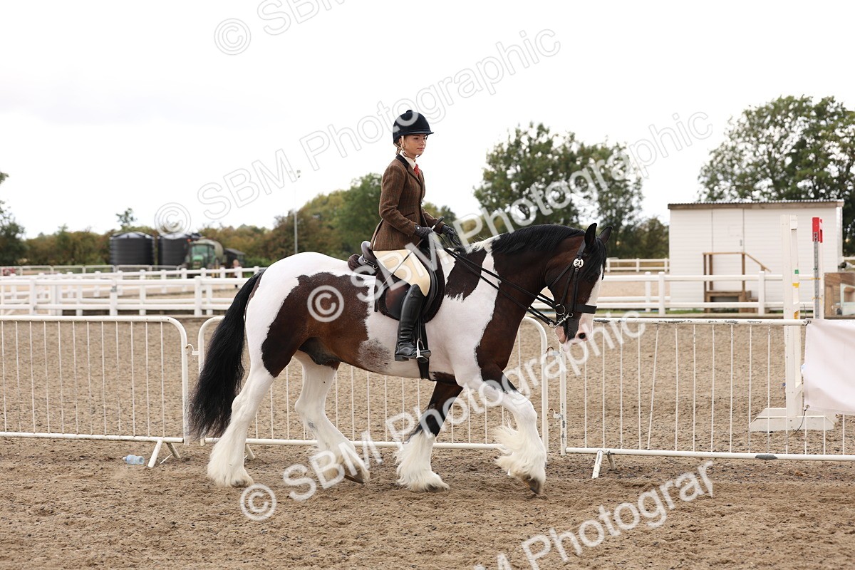 SBM_04184 - Class 54 - Riding Club Horse/Pony