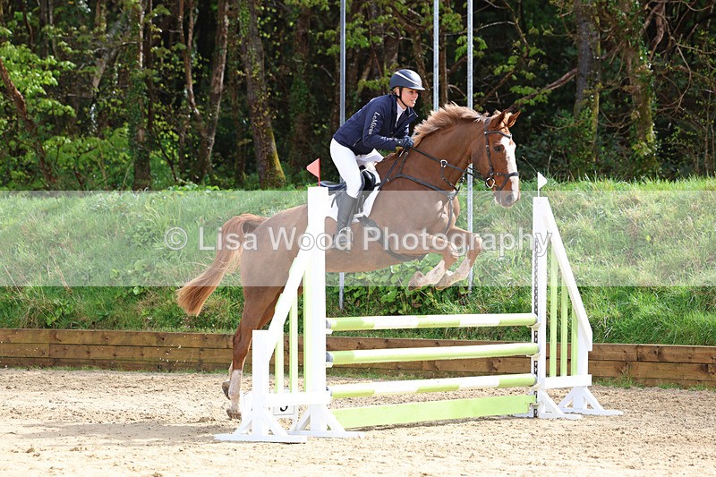 3E7A0836 - Class 4: Senior British Novice/90cm open