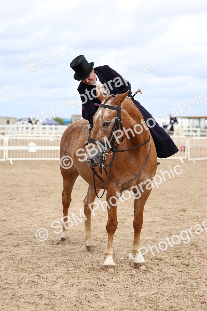 SBM_03480 - Class 24 - SSA Concours d'elegance (any age)