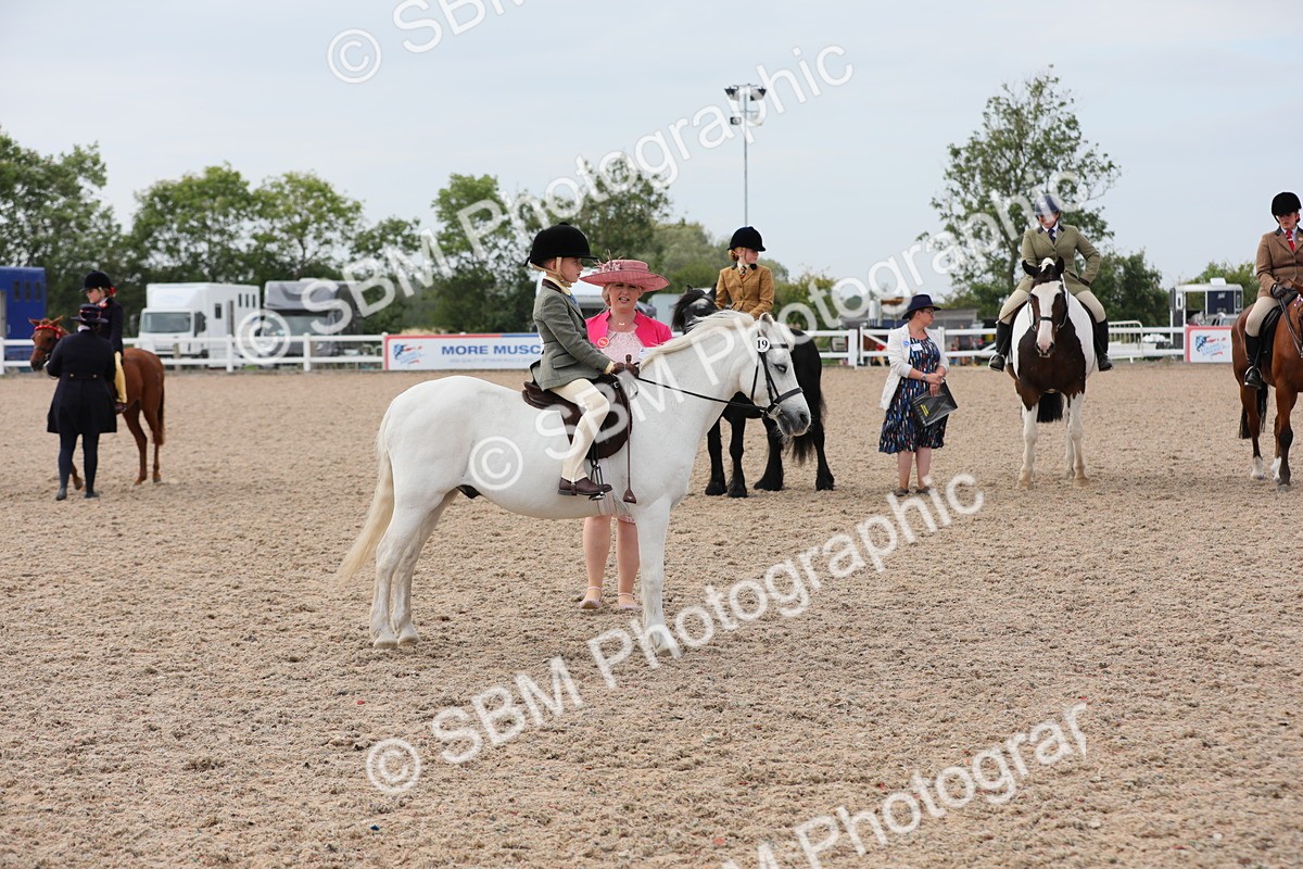 SBM_16910 - Class 314 Family Horse/Pony
