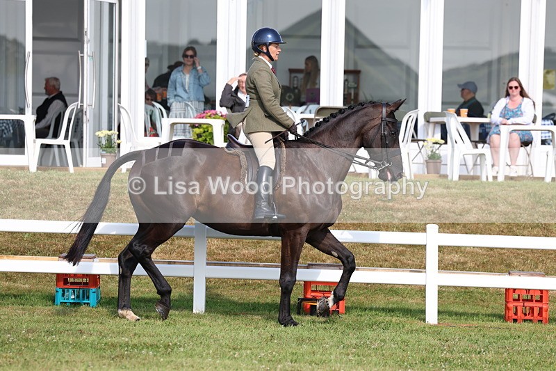 3E7A8702 - Class 3: Rising Star S/L Hunter