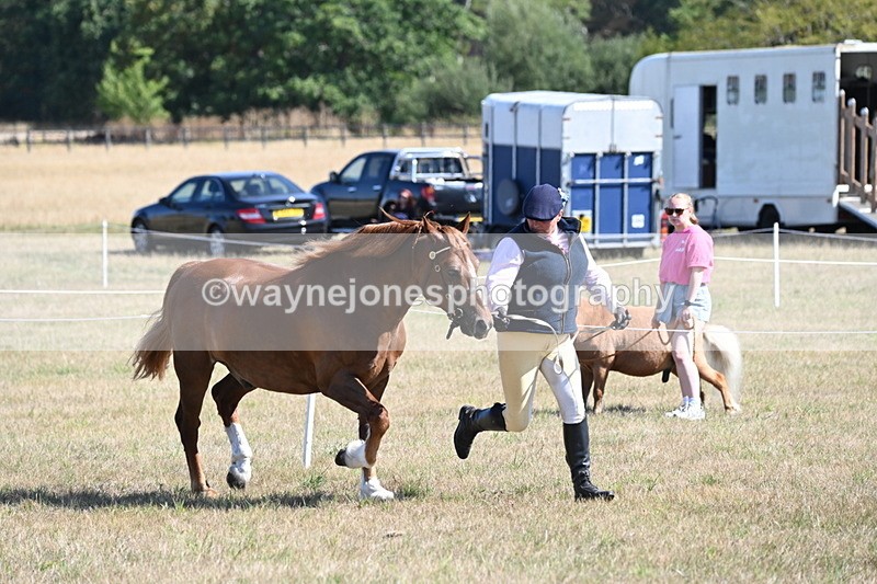 WJ6_4569 - Class 17 Mountain & Moorland