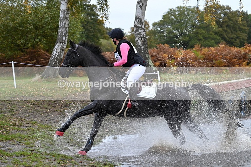 WJ7_2084 - 80cm Cam 2 Pairs Time 12:18 to 12:43