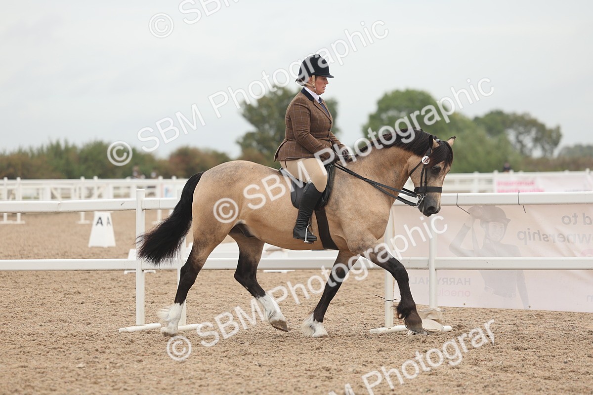 SBM_01869 - Class 14 - Ridden M&M Wildcard