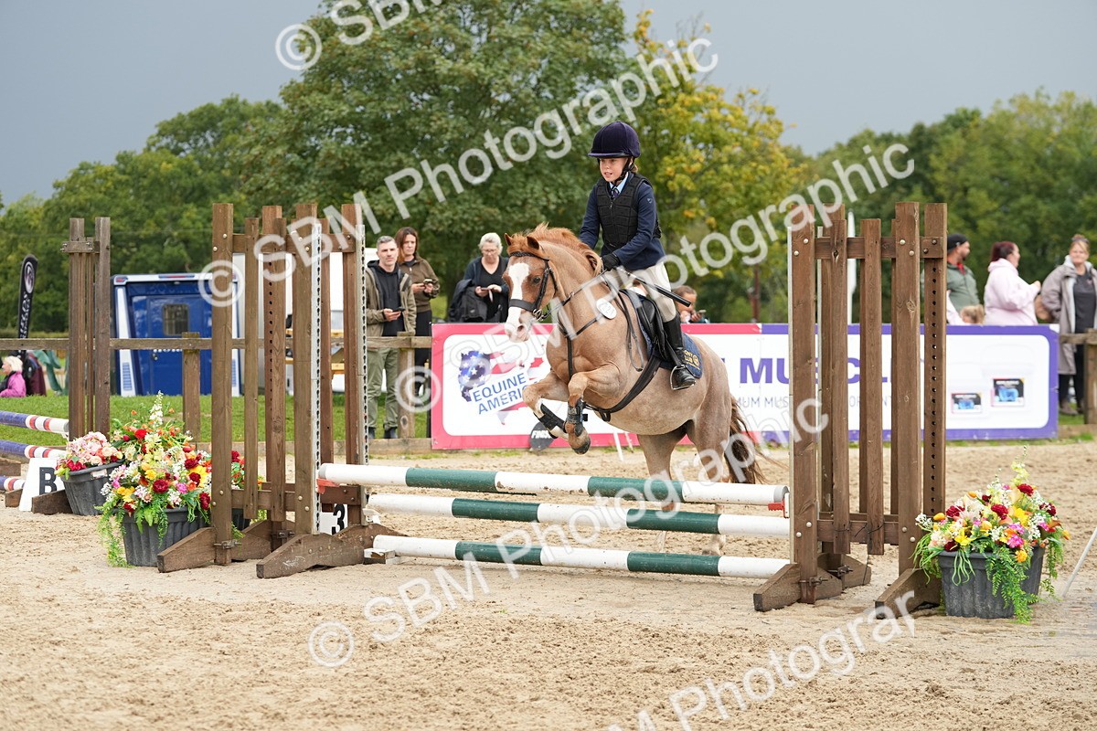 SBM_33407 - J5 - Junior Pony 50cm Championship