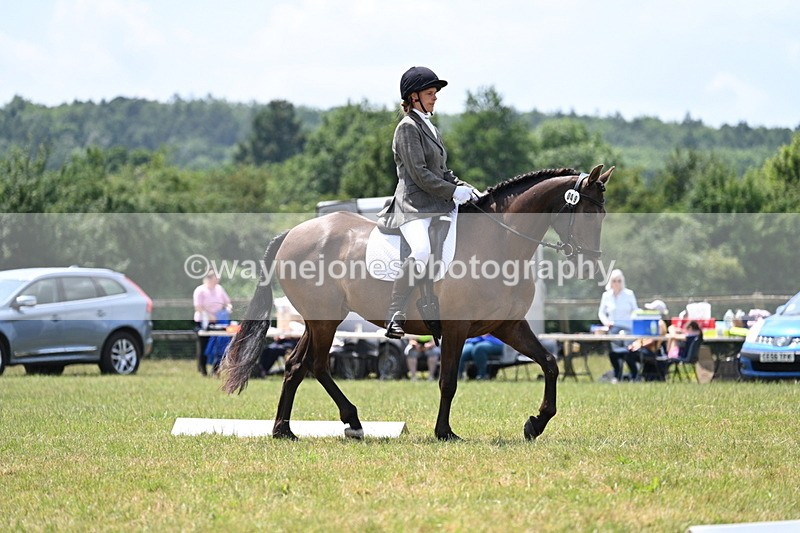 WJ7_7265 - Time 13:01 to 13:16