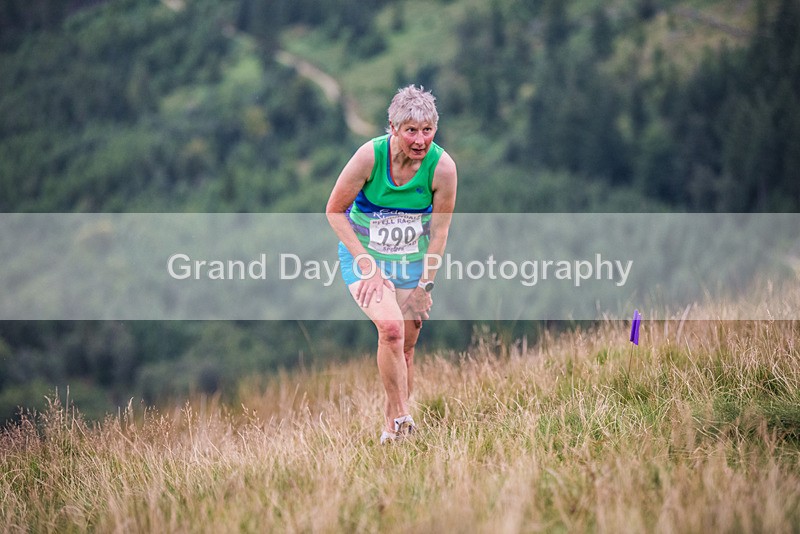 Steel Fell-451 - Steel Fell Race Wednesday 9th August 2023
