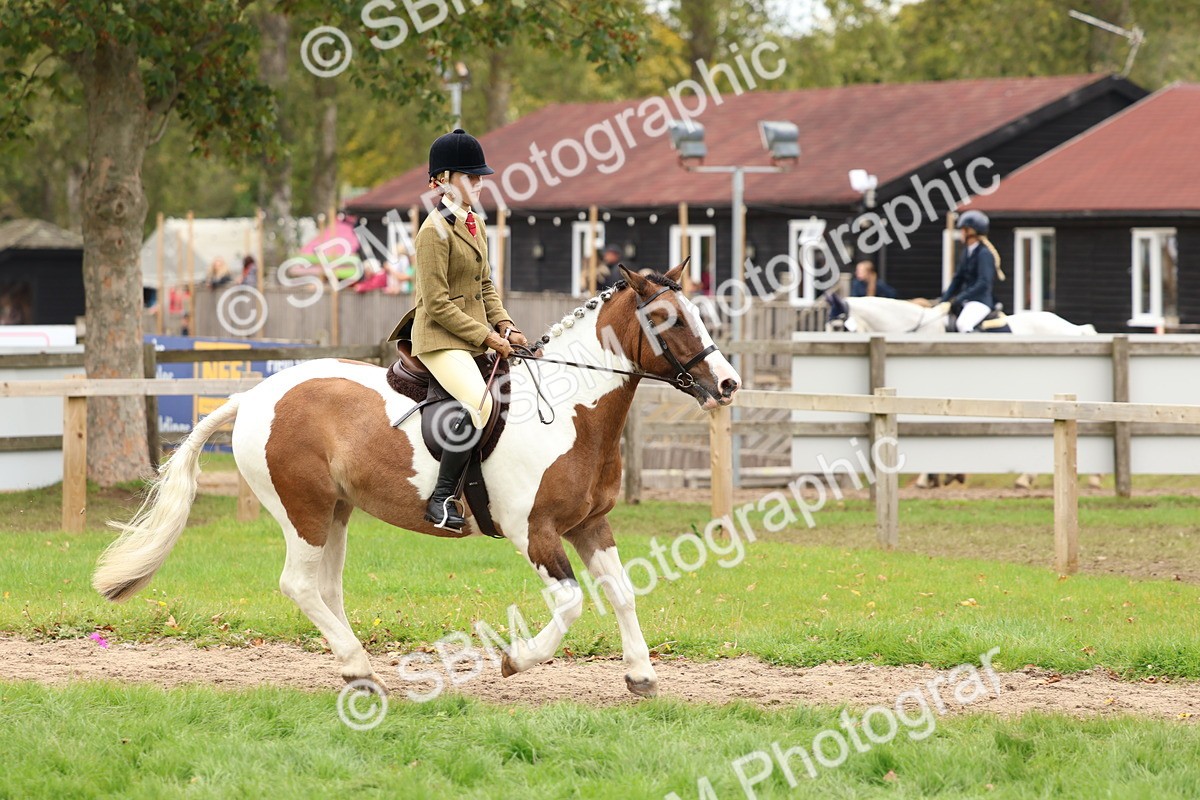 SBM_65207 - S59 - Part Bred Arab & Native Pony Ridden