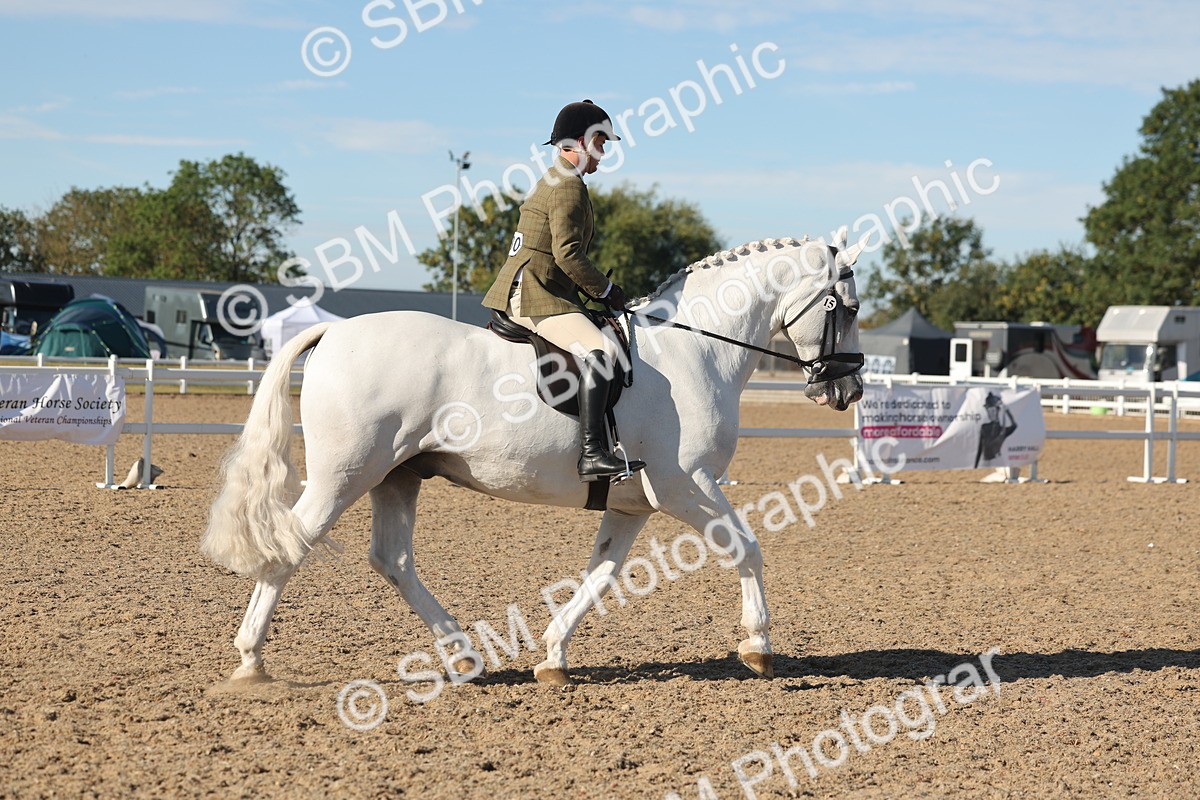 SBM_12184 - Class 303 - Ridden Pure Bred Horse Pony