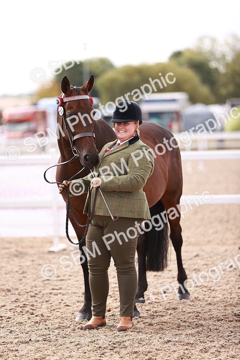 SBM_14196 - Class 407 - IH Hack Riding Horse
