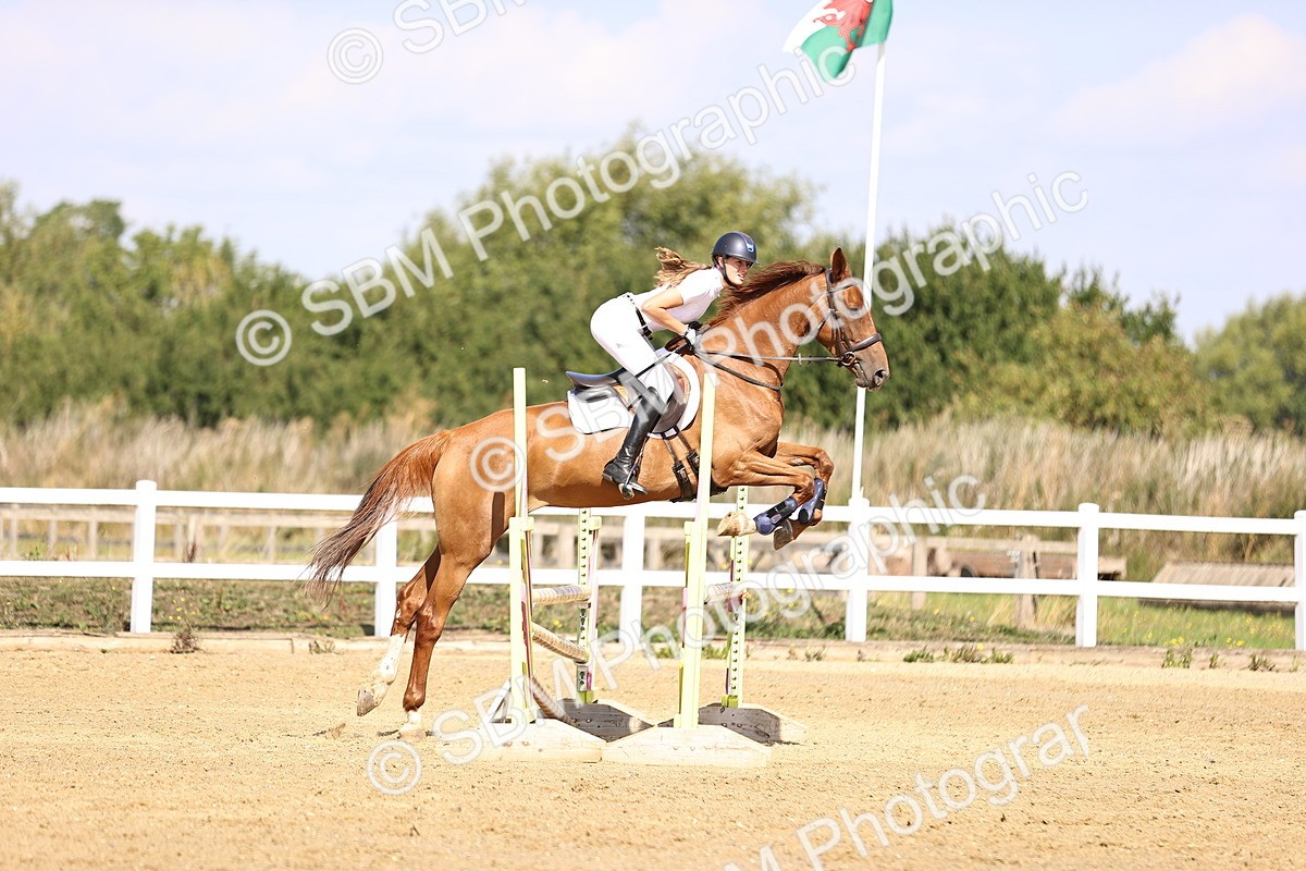 SBM_005803 - Class 9 - Senior British Novice - 90cm
