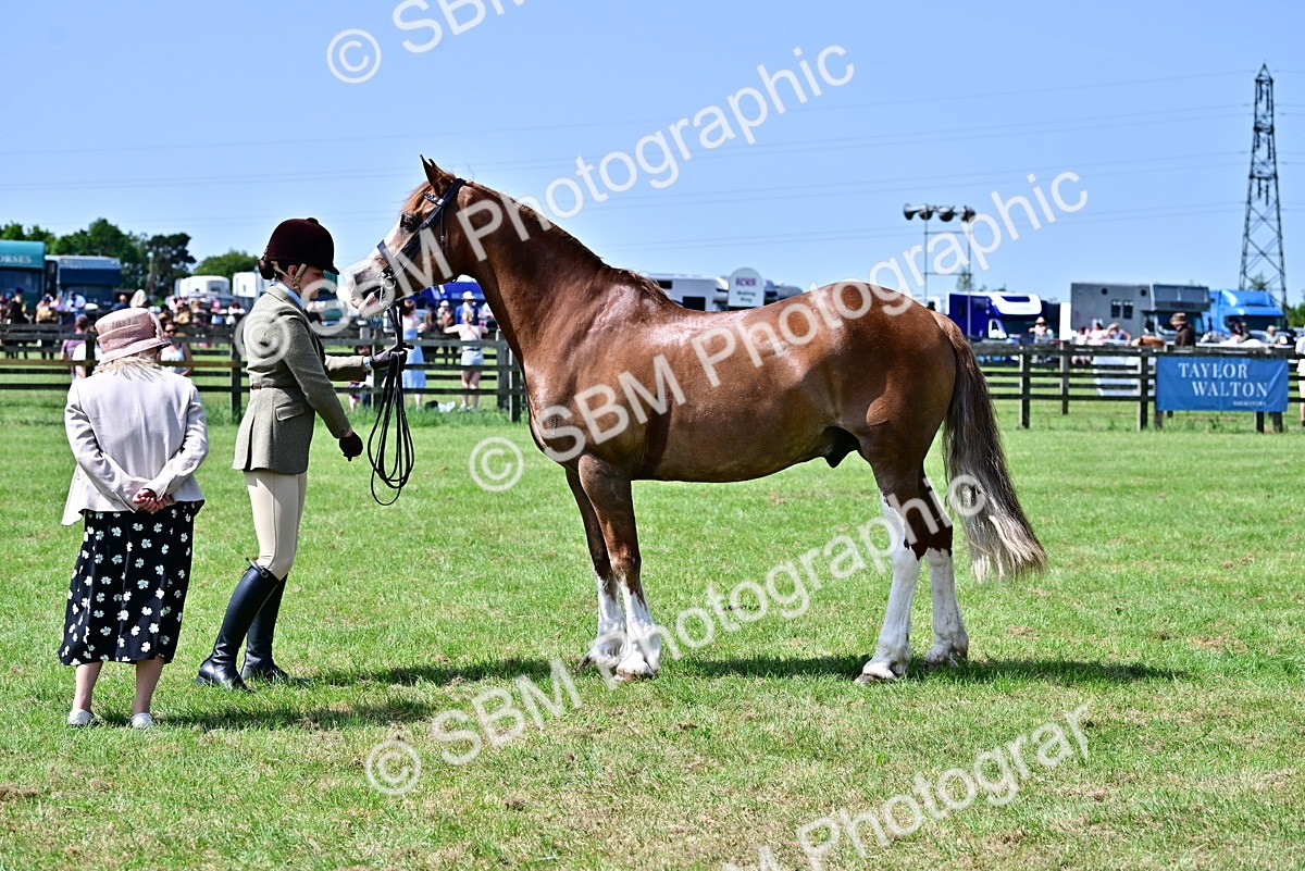 SBM_03911 - Class 58 - TSR  Ridden Veteran Amateur of the year