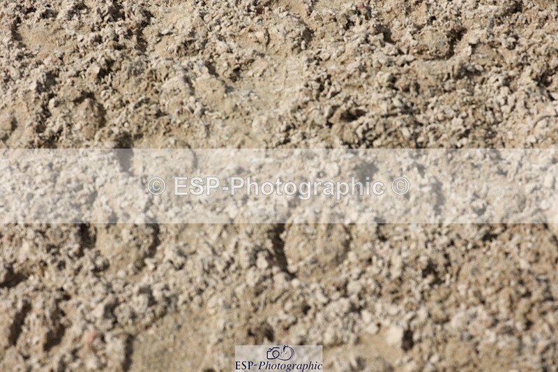 250809A-155534-04690 - Elementary SILVER Presentations