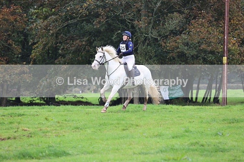 JPP_5232 - Class 2:  70cm: Zig Zag