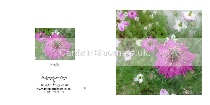 016 Nigella - FLORAL GREETING CARDS
