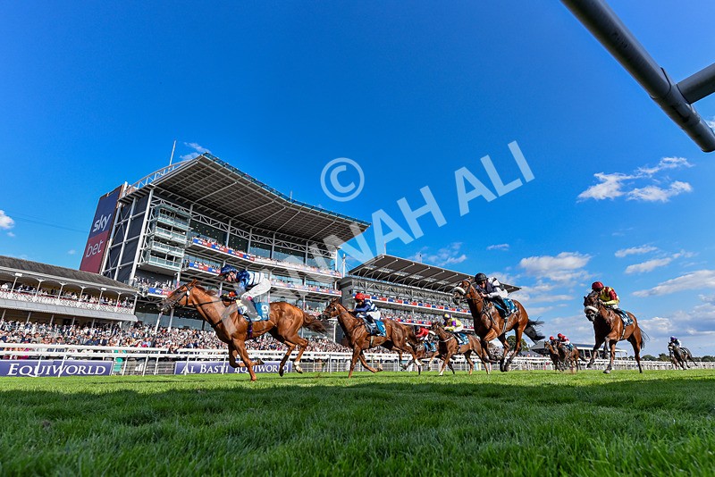 220826-Race 6-Sale Shark-6213 - Race 6 16.45pm Julia Graves Roses Stakes